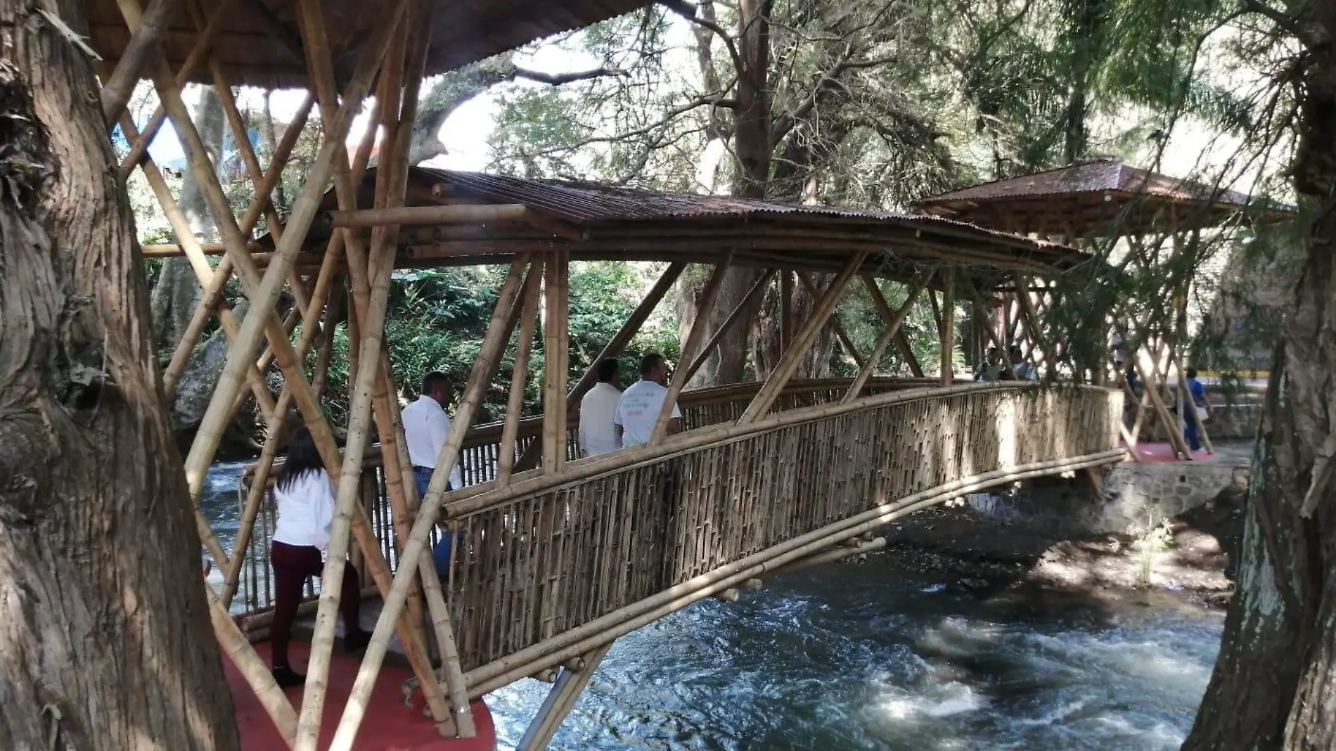 parque ahuehuetes en camerino z. mendoza (8)